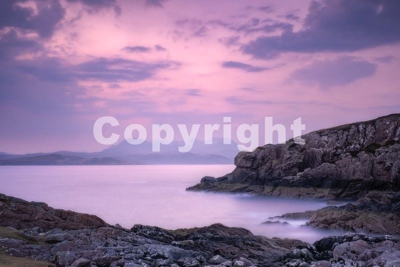 Lavender